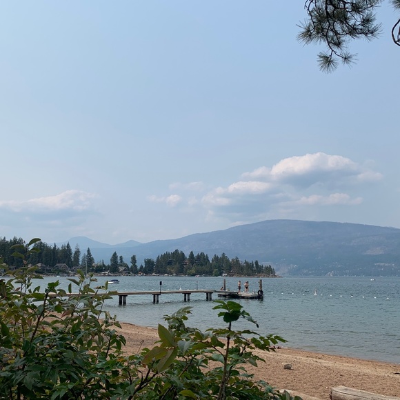 Meet your Posher, Felina - Picture 2 of 2